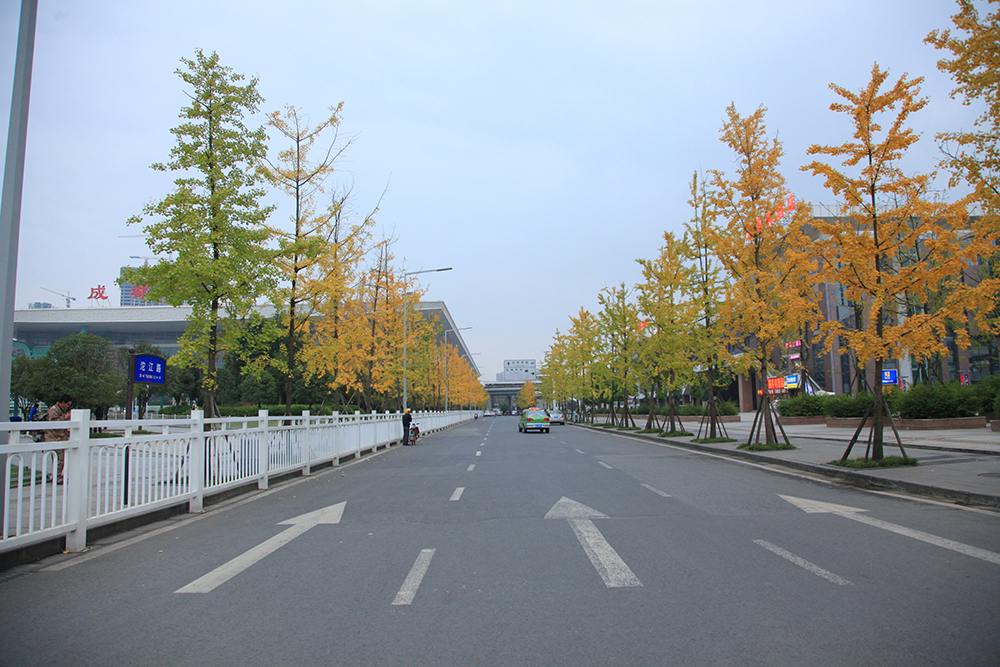 沙河堡1期.jpg