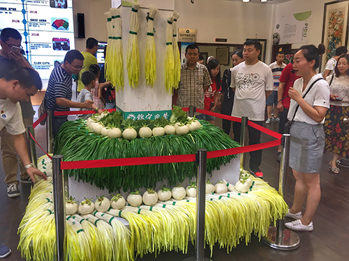6 參觀場館  500.jpg